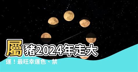 屬豬的幸運色|【屬豬顏色】掌握2024屬豬幸運顏色！助你財運亨通。